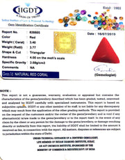 3.78 Ratti Italian Red Coral-(1054)